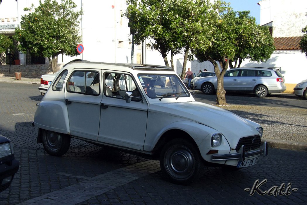 Citroën Dyane