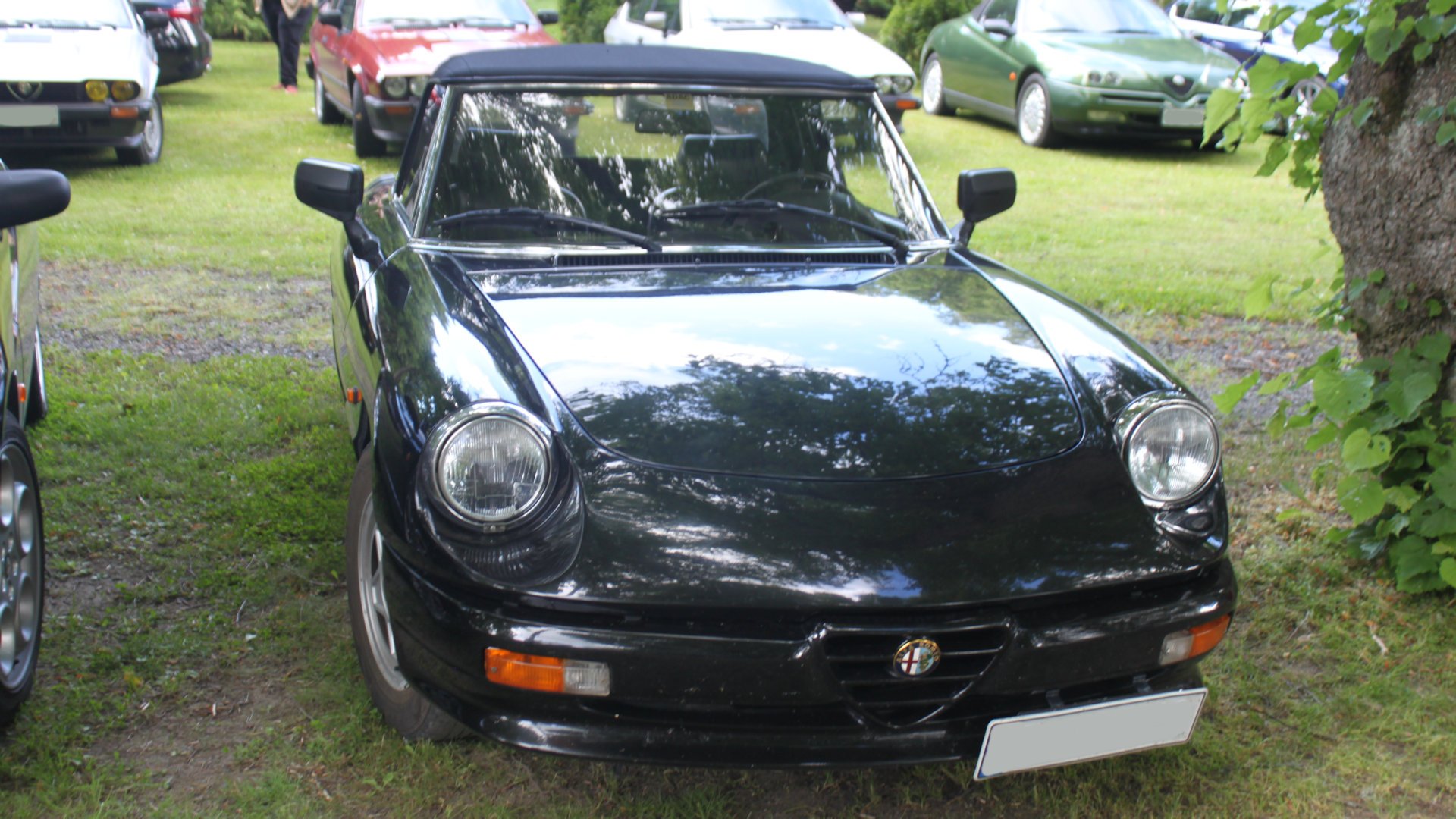 Alfa Romeo Spider